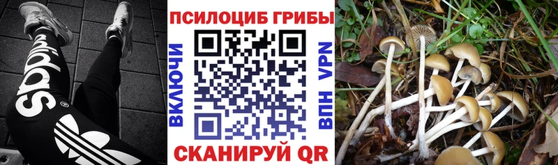 Купить  Томари  Галлюциногенные грибы ЛСД 